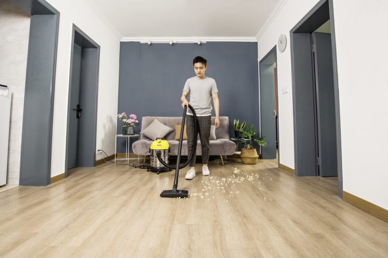 Wet and dry vacuum cleaner WD 1s Classic KAP-8