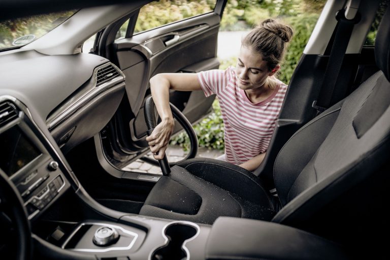 Wet and dry vacuum cleaner WD 2 Plus V-12418C-2