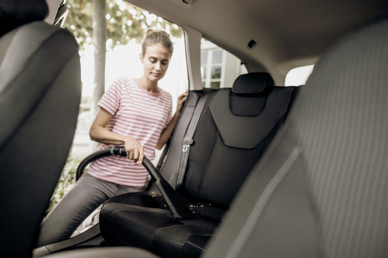 Wet and dry vacuum cleaner WD 3 V-17620 Car-2