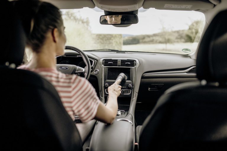 Wet and dry vacuum cleaner WD 3 V-17620 Car-3